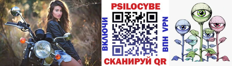 Псилоцибиновые грибы Psilocybe Лагань